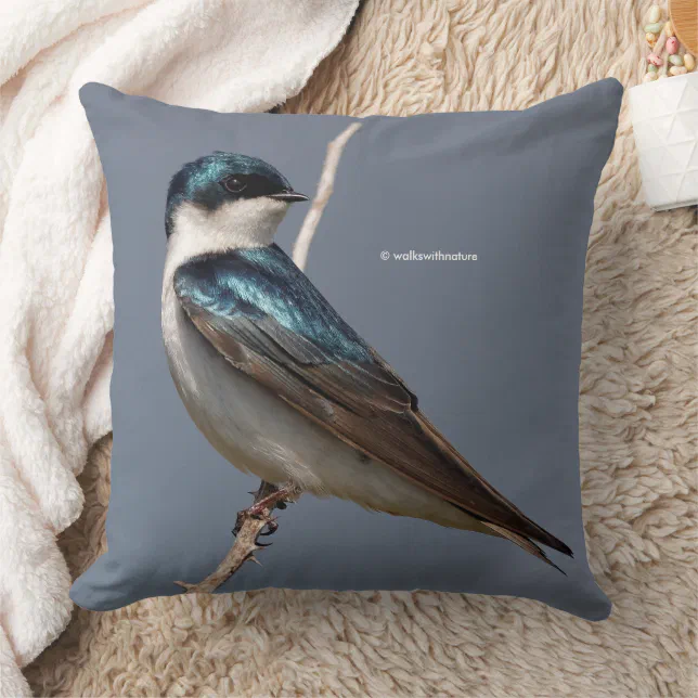 Stunning Tree Swallow Songbird in the Sun Throw Pillow