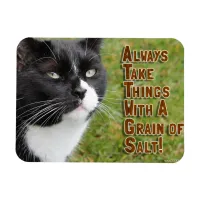 Salt Grain Motivation Cat Encouraging Quote Magnet