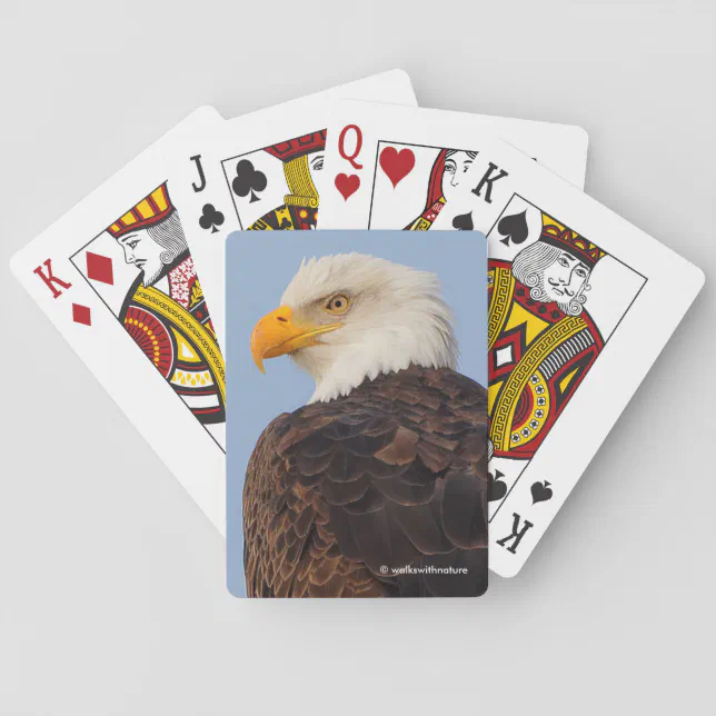 Beautiful Bald Eagle in a Tree Poker Cards