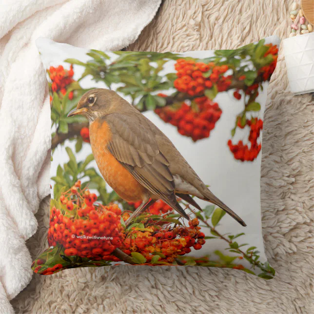 Stunning American Robin Songbird in Pyracantha Throw Pillow