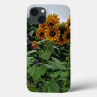 Sunflowers and Morning Glories Photography iPhone 13 Case