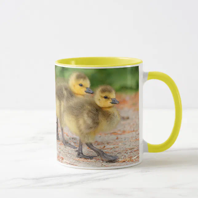 Cuteness on Parade: Canada Goose Goslings Mug