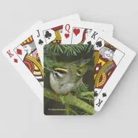Cute Kinglet Songbird Causes a Stir in the Fir Playing Cards