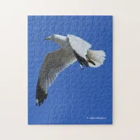 Breathtaking Ring-Billed Gull in Flight Jigsaw Puzzle