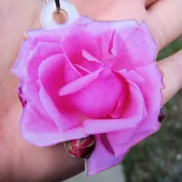 Pink Rose Photo Sculpture