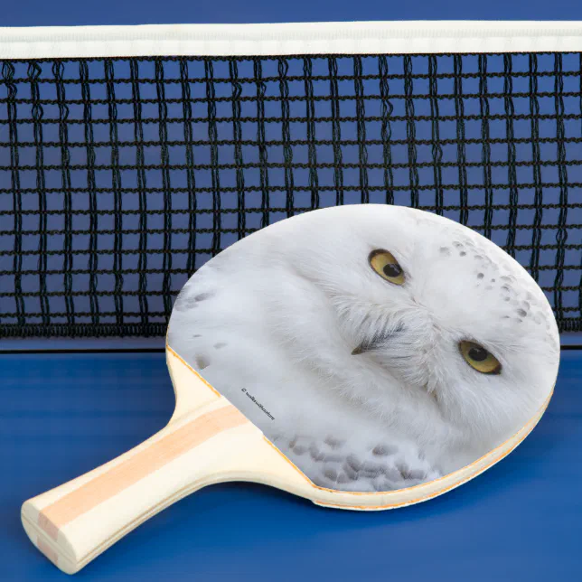 Beautiful, Dreamy and Serene Snowy Owl Ping Pong Paddle