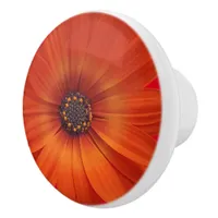 Colorful Medley of African Daisies Flowers Ceramic Knob