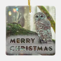 Whimsical Owl in Winter Merry Christmas Ceramic Ornament