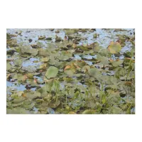 Serene Lily Pads Nature Photography Faux Canvas Print