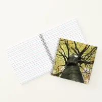 Treetop from Below - Tree of Life Notebook