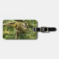 Cute Little Kinglet Causes a Stir in the Fir Luggage Tag