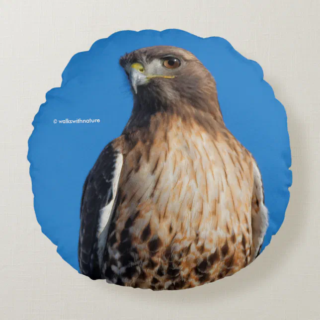 Magnificent Red-Tailed Hawk in the Sun Round Pillow