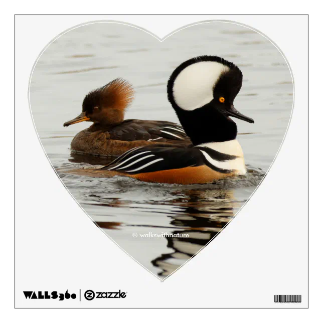 A Meeting of Hooded Mergansers Wall Decal