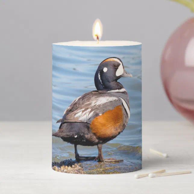 Beautiful Harlequin Duck on the Rock Pillar Candle