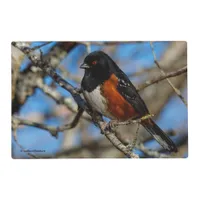 A Spotted Towhee in a Tree Placemat