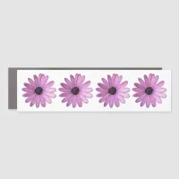 Just Purple Daisies| Floral Photo