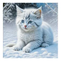 Cute White Cat Playing in the Snow   Acrylic Print