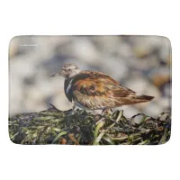 A Showstopping Ruddy Turnstone Bathroom Mat