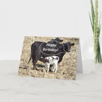 Funny Cow Happy Birthday Card