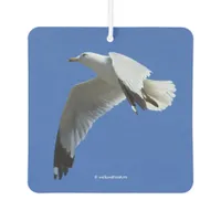 Breathtaking Ring-Billed Gull in Flight Air Freshener