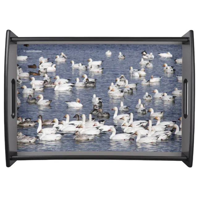 A Flock of Snow Geese at the Beach Serving Tray