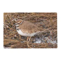 Killdeer in the Freezing Mudflats Placemat