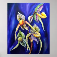 Orchid - The Paphiopedilum   Lady's Slipp Poster