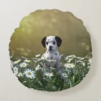 Cute Dalmatian Puppy in Daisies Round Pillow