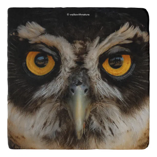 Mesmerizing Golden Eyes of a Spectacled Owl Trivet