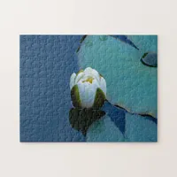 White water lily in the pond, nature photography  jigsaw puzzle