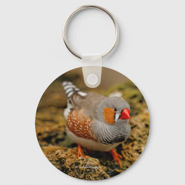 Cute Zebra Finch Songbird on the Rocks Keychain