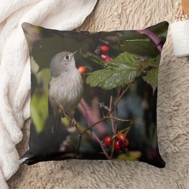 Ruby-Crowned Kinglet Songbird on Hawthorn Bush Throw Pillow