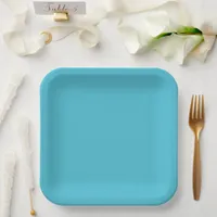 Modern coastal aqua solid paper plates