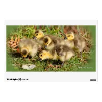 Adorable Baby Canada Geese on the Grass Wall Sticker