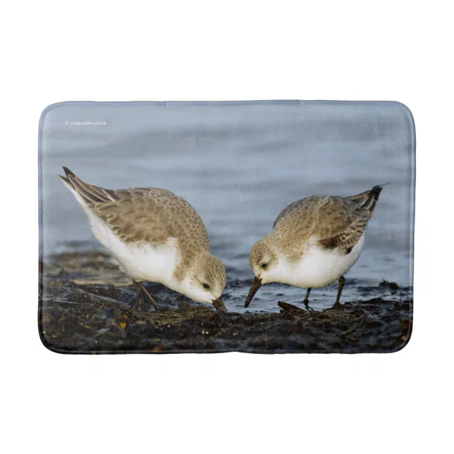 Cute Pair of Sanderlings Shares a Seaside Meal Bath Mat