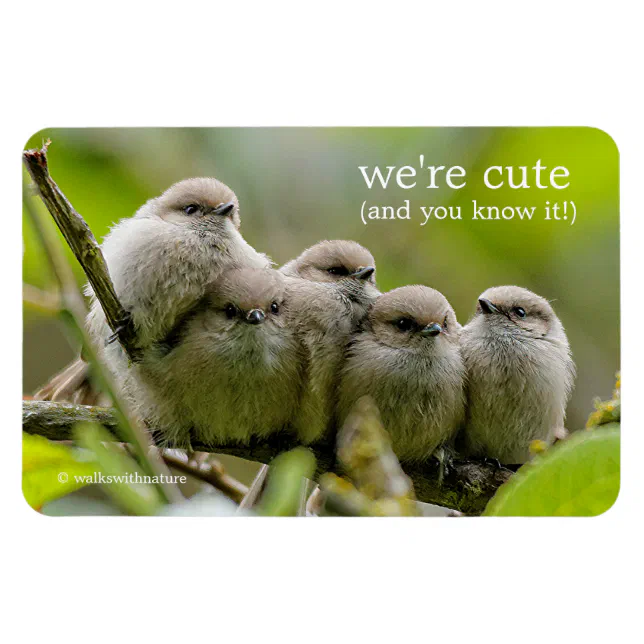 Heartwarming Cute Bushtits Songbirds Family Photo Magnet