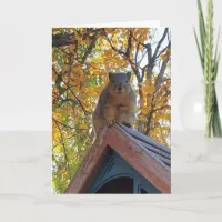 Just Checking in on You | Cute Squirrel Photo Card