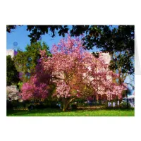 Magnolia Tree Card