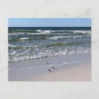 #3405 Beach  Postcard