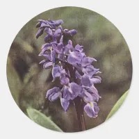 Wildflower: Early Purple Orchids Classic Round Sticker