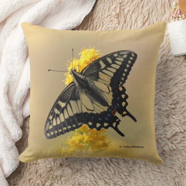 Beautiful Anise Swallowtail Butterfly in the Sun Throw Pillow