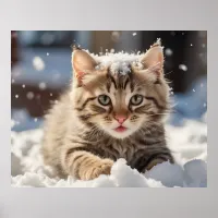 *~* Snow Playing Kitty 5:4  Kitten Cat AP68 Poster