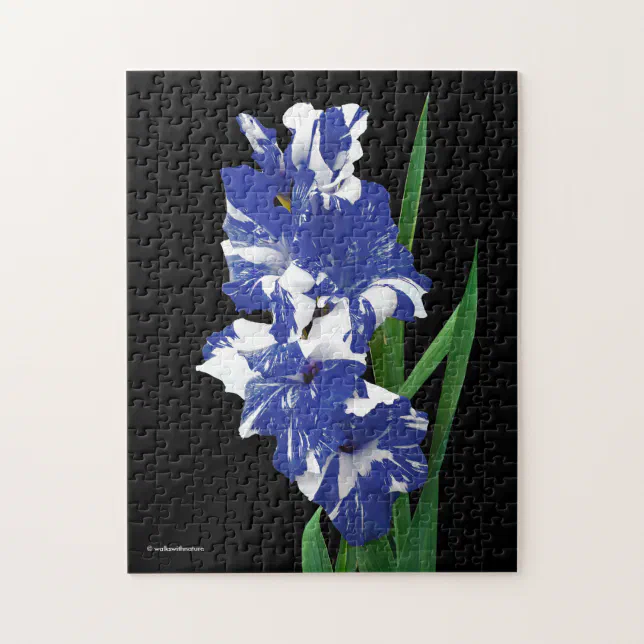 Stunning Royal Blue & White Gladiolus Sword Lilies Jigsaw Puzzle
