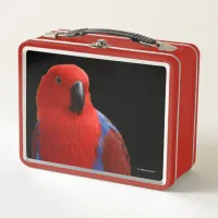 Beautiful "Lady in Red" Eclectus Parrot Metal Lunch Box