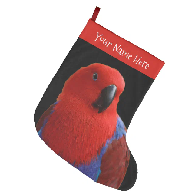 Beautiful "Lady in Red" Eclectus Parrot Large Christmas Stocking