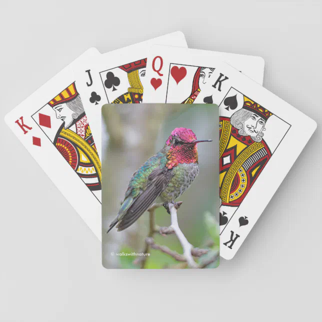 Stunning Male Anna's Hummingbird on the Plum Tree Poker Cards