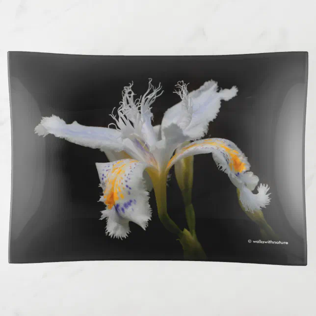 Elegant Japanese Crested Iris White Flowers Trinket Tray