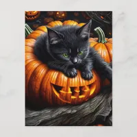 Black Halloween Kitten Postcard