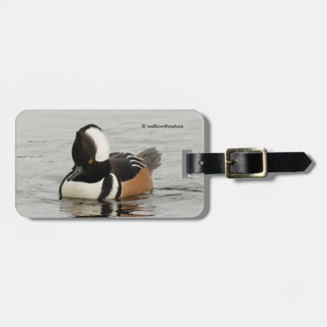 Stunning Hooded Merganser Duck at the Pond Luggage Tag