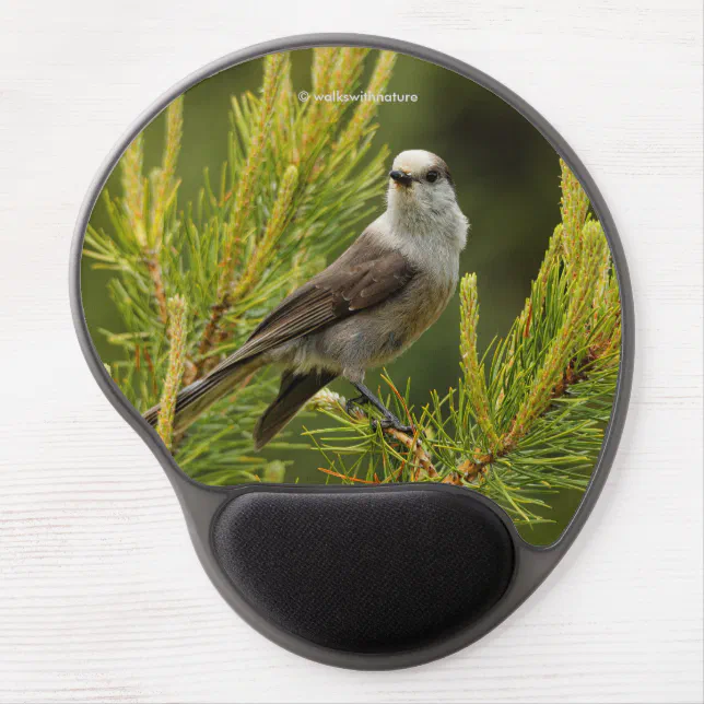 A Cute and Curious Grey Jay / Whiskeyjack Gel Mouse Pad